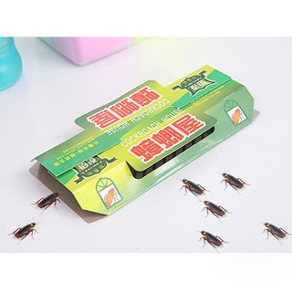 Vỉ Diệt Gián Siêu Việt TB0116