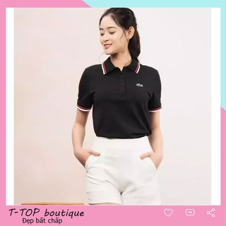 Áo thun nữ cổ bẻ chất cotton thêu hình cá sấu cực đẹp