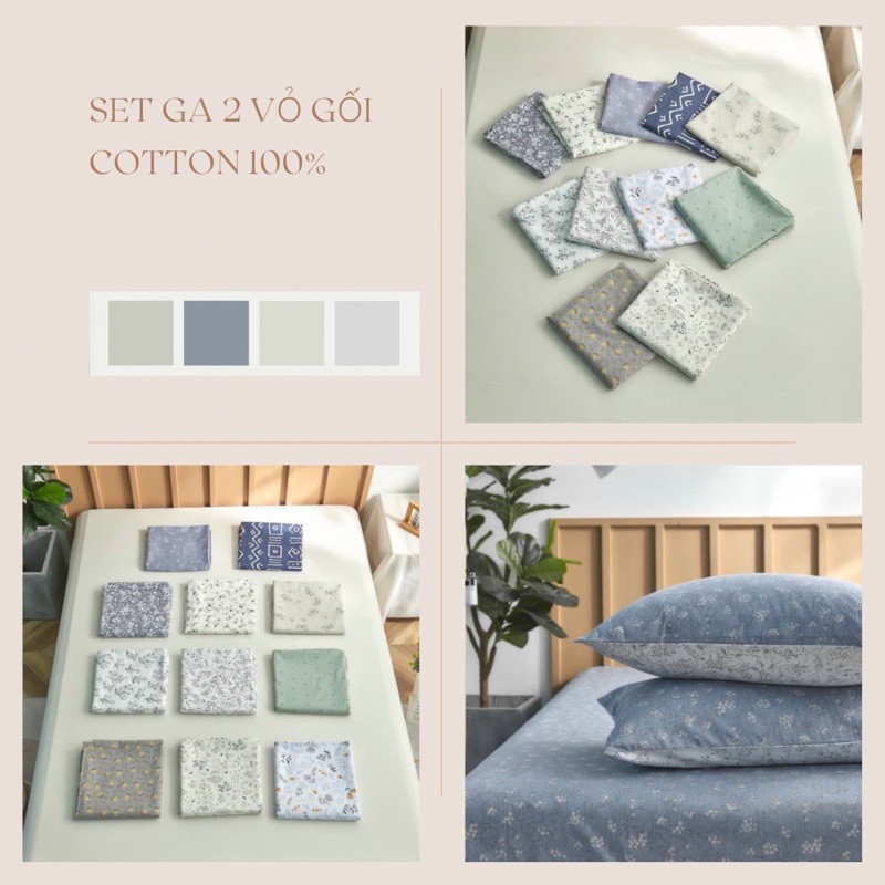 Ga gối Cotton 100% mát lạnh, ga giường cotton hè cao cấp đủ kích thước đã bo chun.