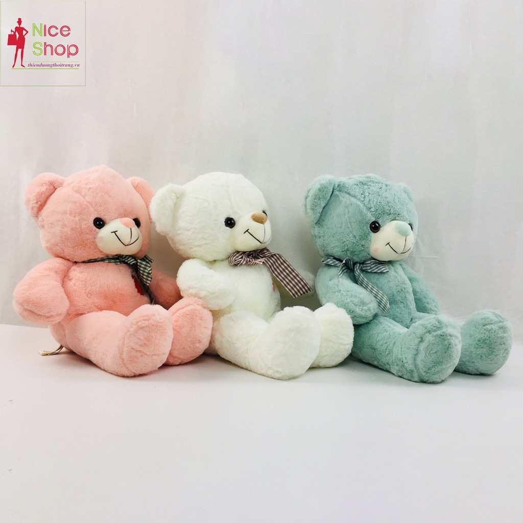 Gấu bông ôm teddy siêu đáng yêu nhiều màu dùng để cho bé ôm trang trí trong nhà - OT0700