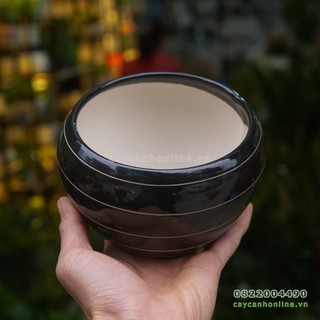 Chậu gốm sứ kẻ đen trồng cây cảnh để bàn