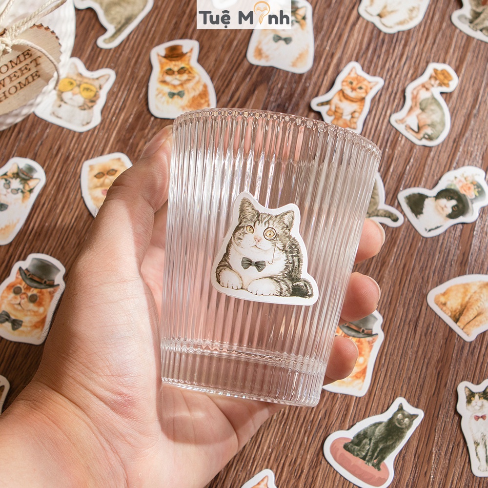 Sticker mèo cute hộp 46 sticker hoạt hình Mèo STI62 phong cách Châu Âu dễ thương