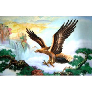 Tranh đính Full đá tự làm chim đại bàng-nhà máy sản xuất và bán hàng trực tiếp