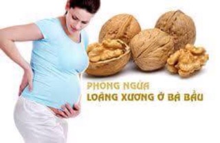 Quả óc chó Mỹ