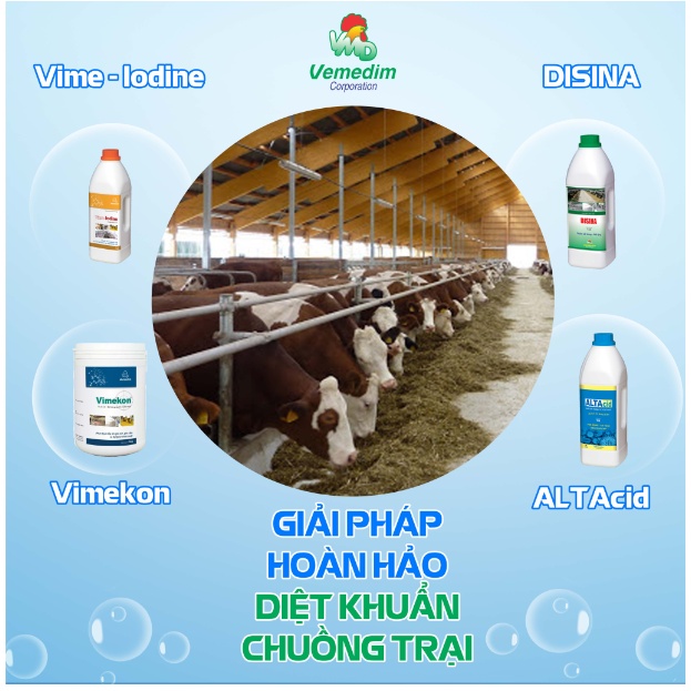 Vemedim Super egg bổ sung vitamin, tăng sức khỏe, tăng sản lượng trứng cho gà chọi, chim cảnh, bồ câu..., combo 6 gói 5g