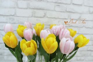 Gân hoa đất sét- lá tulip