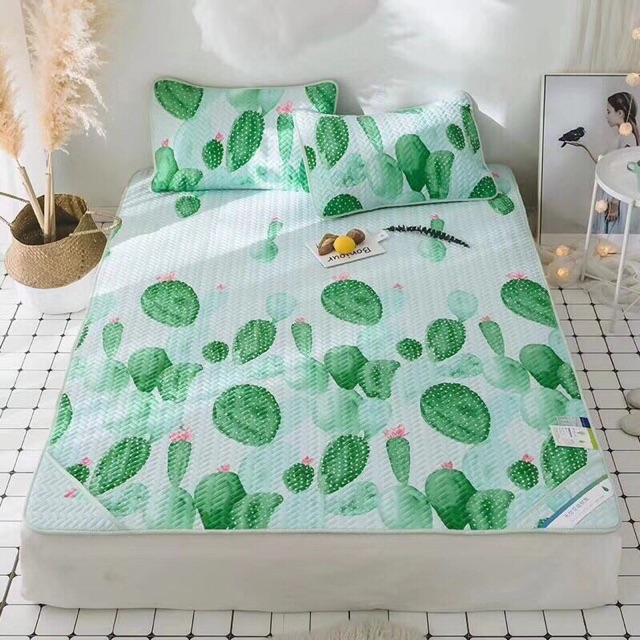 Chiếu điều hoà Tencel