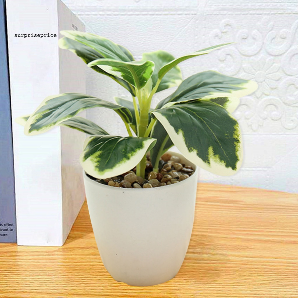 Chậu Cây Cảnh Nhân Tạo Sống Động Dùng Trang Trí Nhà Cửa/ Tiệc Cưới