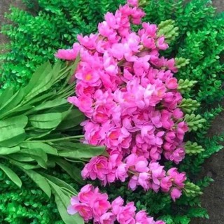hoa phi yến lụa