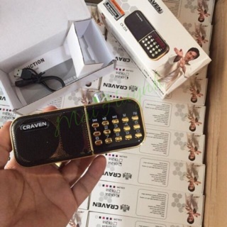 Loa Thẻ Nhớ Craven CR-25A