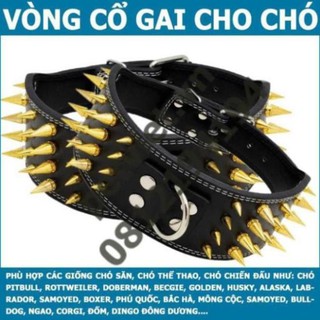 Vòng cổ chó - 4 hàng đinh - dành cho các dòng chó lớn