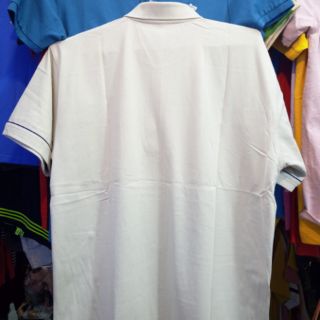 Áo Thun Trung Niên Có Cổ