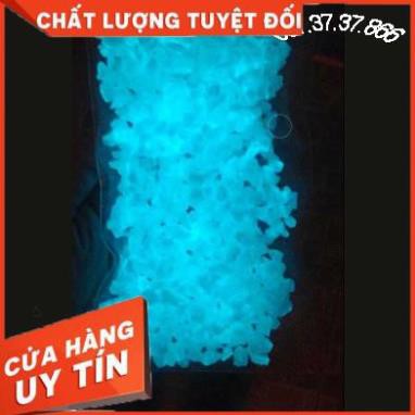 Set 50 đá dạ quang nhiều màu phát sáng trong đêm cho bể cá. Đá dạ quang 10/20/30/40/50 viên
