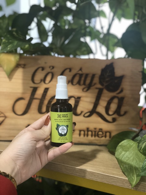[Giảm Giá Hỗ Trợ Đại Dịch] Xịt Sạch Khuẩn Toàn Thân Rona CoCayHoaLa - Chiết xuất Quế, Lô Hội, Tràm Trà Xanh chai 60ml | BigBuy360 - bigbuy360.vn