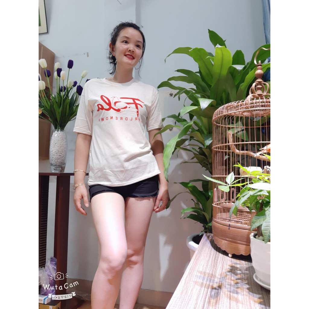 Linhdan- combo sỉ áo phông