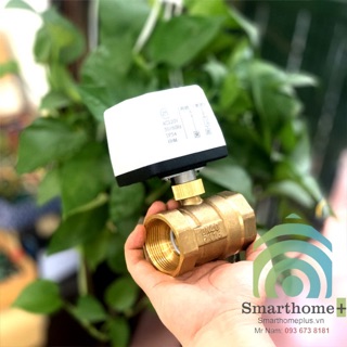 Van Bi Xoay Điều Khiển Điện 220V 2 Ngả Cỡ Lớn SHP-VN7