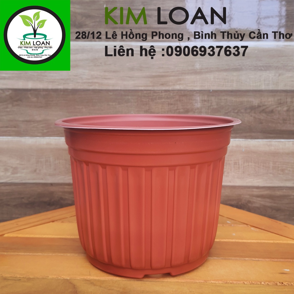 Combo 20 chậu vành cứng C5 20x15cm