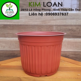 Combo 20 chậu vành cứng c5 20x15cm