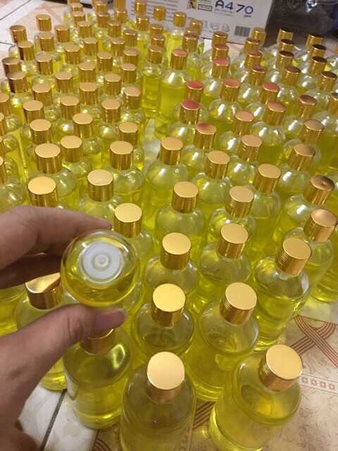 Sỉ Tinh dầu tràm Huế 100ml nguyên chất
