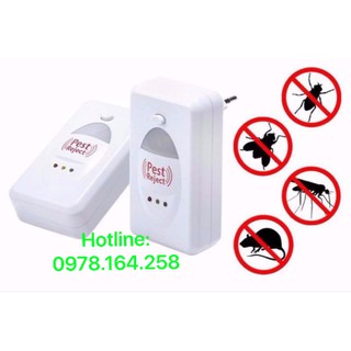 Máy đuổi côn trùng Pest Reject