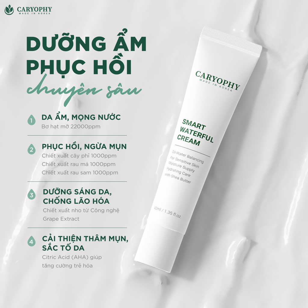 KEM DƯỠNG ẨM VÀ PHỤC HỒI DA CARYOPHY SMART WATERFUL CREAM