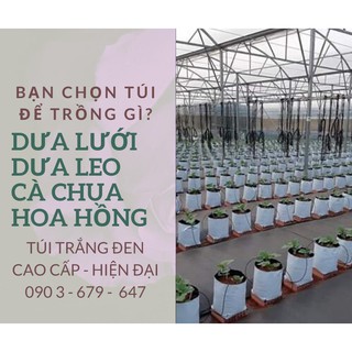 Túi trồng dưa lưới - dưa leo - cà chua 2 mặt trắng đen 2 da