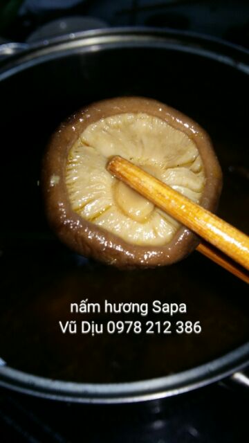 NẤM HƯƠNG RỪNG - SAPA 200gr