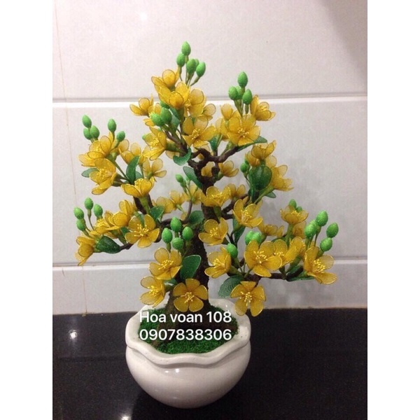 Nụ mai  đất sét 1 bó 50 cái