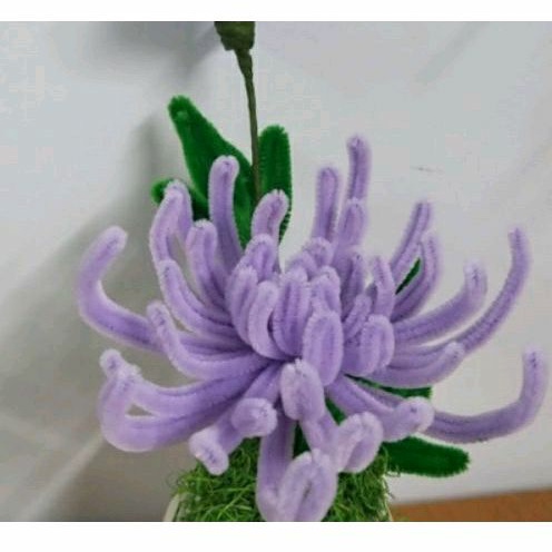 Kẽm lông làm đồ chơi, trang sức