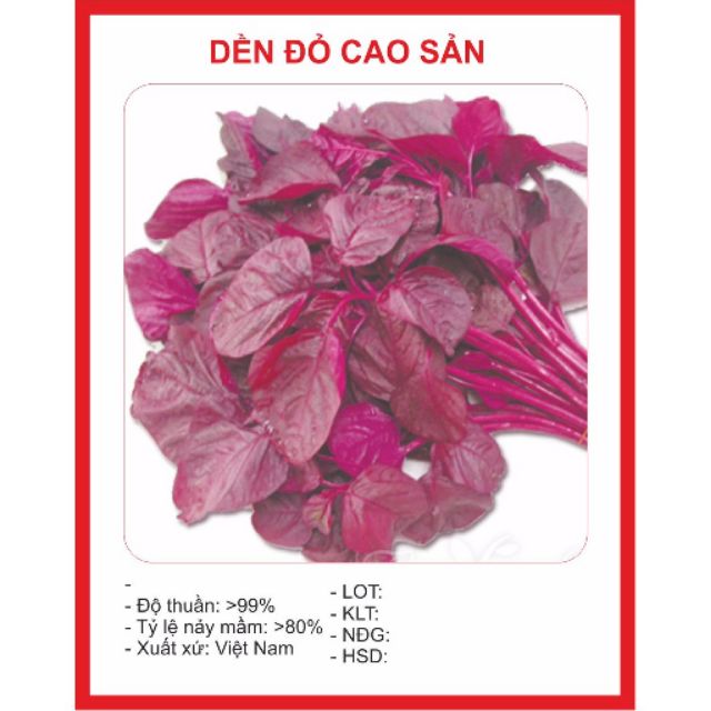 Hạt giống rau dền đỏ cao sản 4 mùa