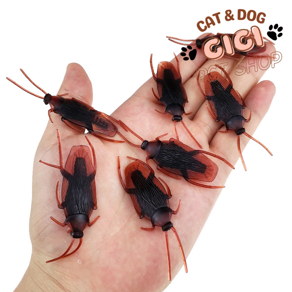Gián đồ chơi cho thú cưng chó mèo giả trí phụ kiện được mô phỏng như thật - GiGi Pet Shop