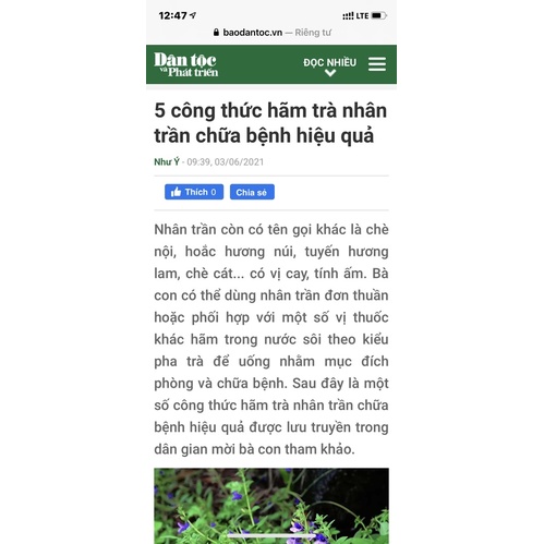 Nhân Trần đơn giản mà hiệu quả cao túi 1kg