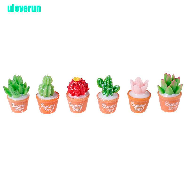 Bộ 5 Cây Xương Rồng Mini Bằng Nhựa Resin Dùng Trang Trí Tiểu Cảnh DIY