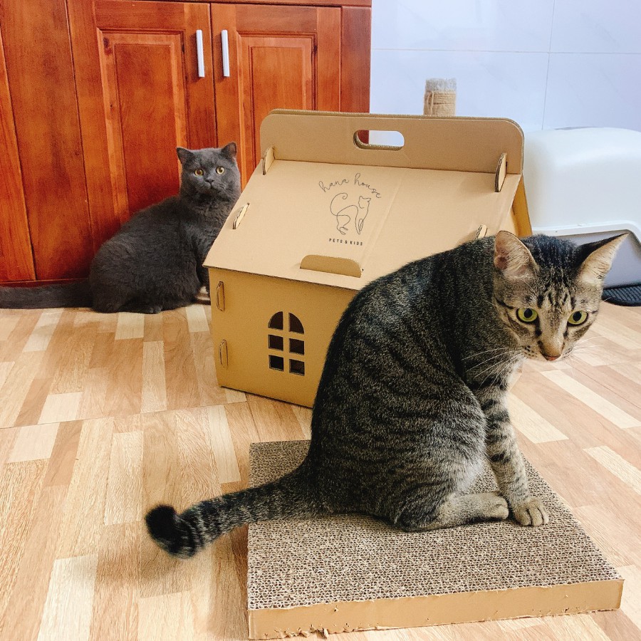 😽😽Nhà giấy carton cho mèo 🐈🐈 Nhà lắp ráp bằng giấy cho thú cưng 🐱