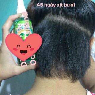 Chai xịt bưởi Thái Lan 😃😃😃😃😃😃😃😃😃😃😃😃😃😃😃😃😃😃😃😃😃😃😃😃😃😃😃😃😃😃😃 😍😍 😃😃😃😃😃😃😃😃😃😃😃😃😃
