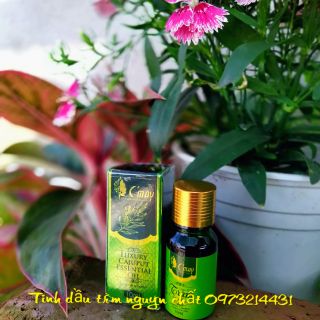 Combo 5 lọ Tinh dầu tràm cao cấp Cỏ May, nguyên chất 100%