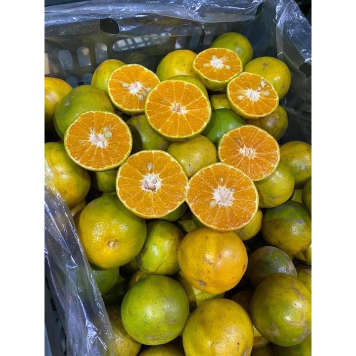 Quýt đường da cám siêu ngọt