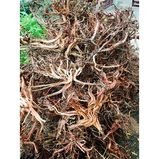 lũa Kim Sa Tùng.trang trí bể cá 1kg
