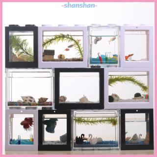 Bể cá mini trang trí hồ cá độc đáo