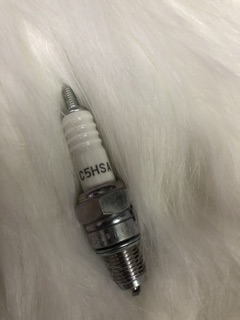 Bugi NGK C5HSA