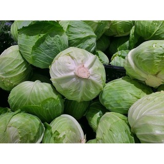 Hạt Giống Bắp Cải Xanh