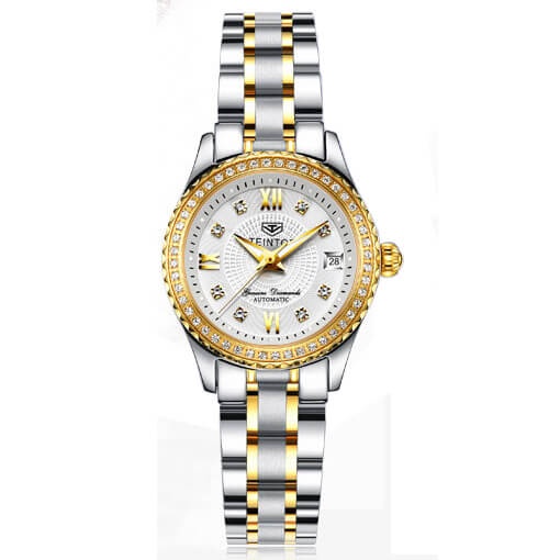 Đồng hồ nữ chính hãng Teintop T8629-4 hàng mới,Kính sapphire ,chống xước,Chống nước,máy cơ(Automatic),Bảo Hành 12 Tháng