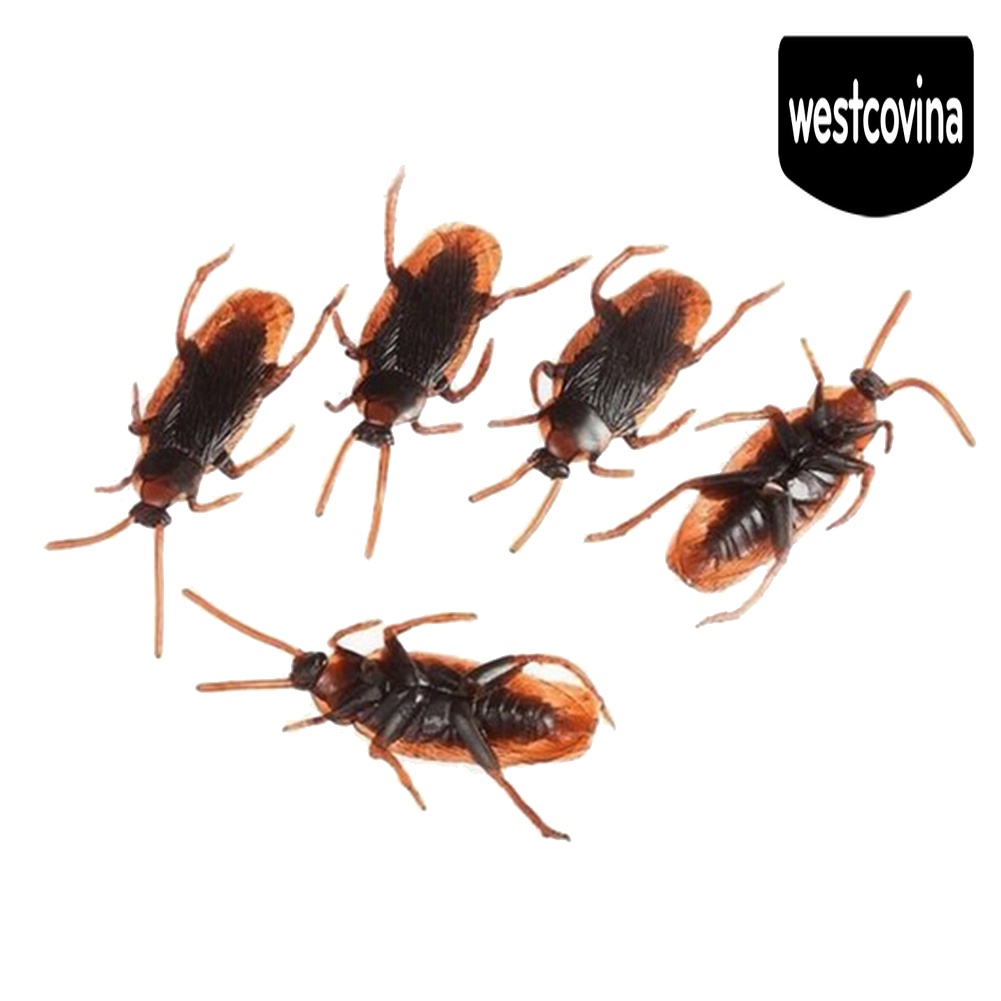 [Hot]☀ 20 Con Gián Giả Trang Trí Halloween