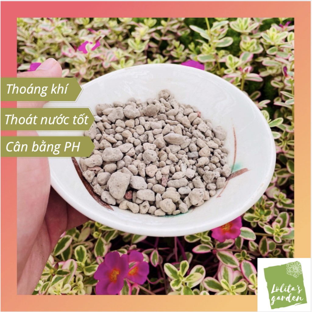 ĐÁ PUMICE  SIÊU PHẨM CHO SEN ĐÁ VÀ XƯƠNG RỒNG