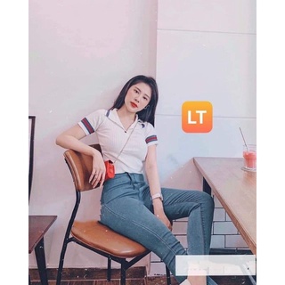 Áo polo cổ viền