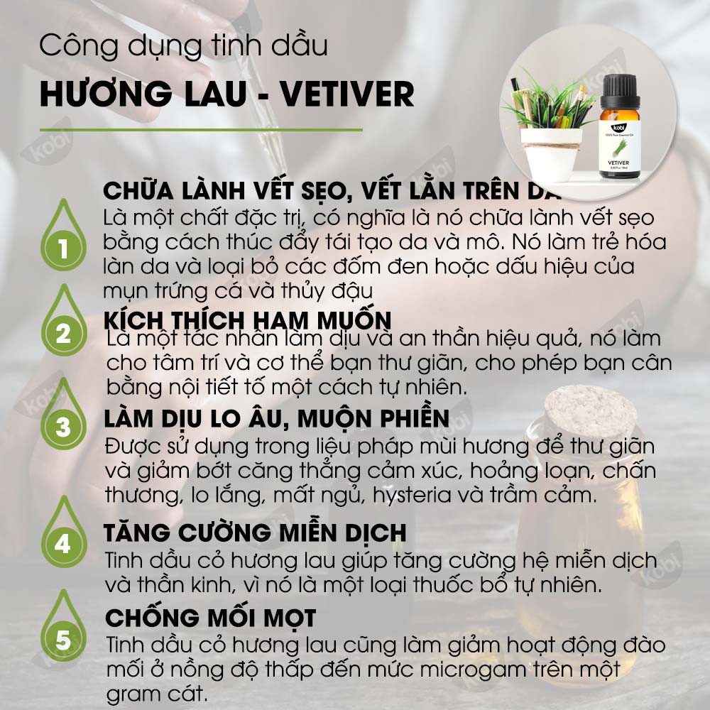 Tinh dầu Hương Lau Kobi Vetiver essential oil giúp giảm lo âu, phiền muộn, tăng cường miễn dịch - 10ml