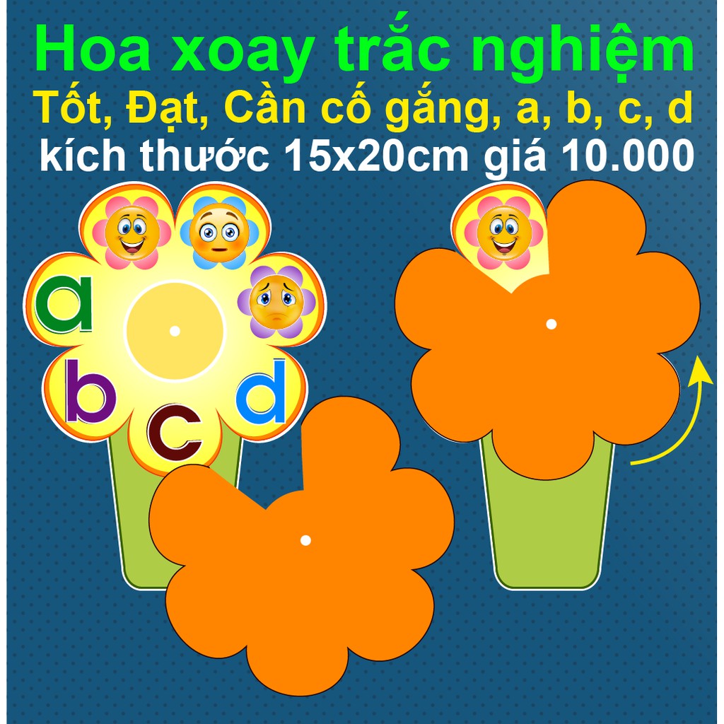 Hoa xoay trắc nghiệm