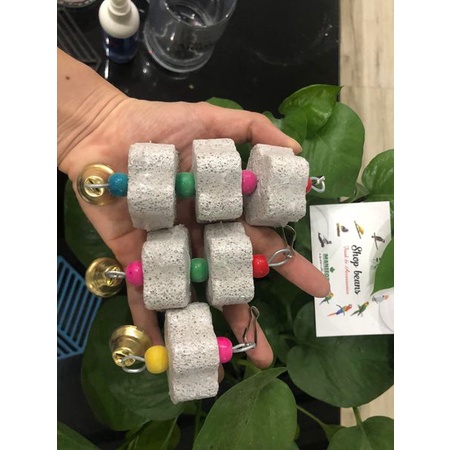 Viên mài mỏ cho vẹt