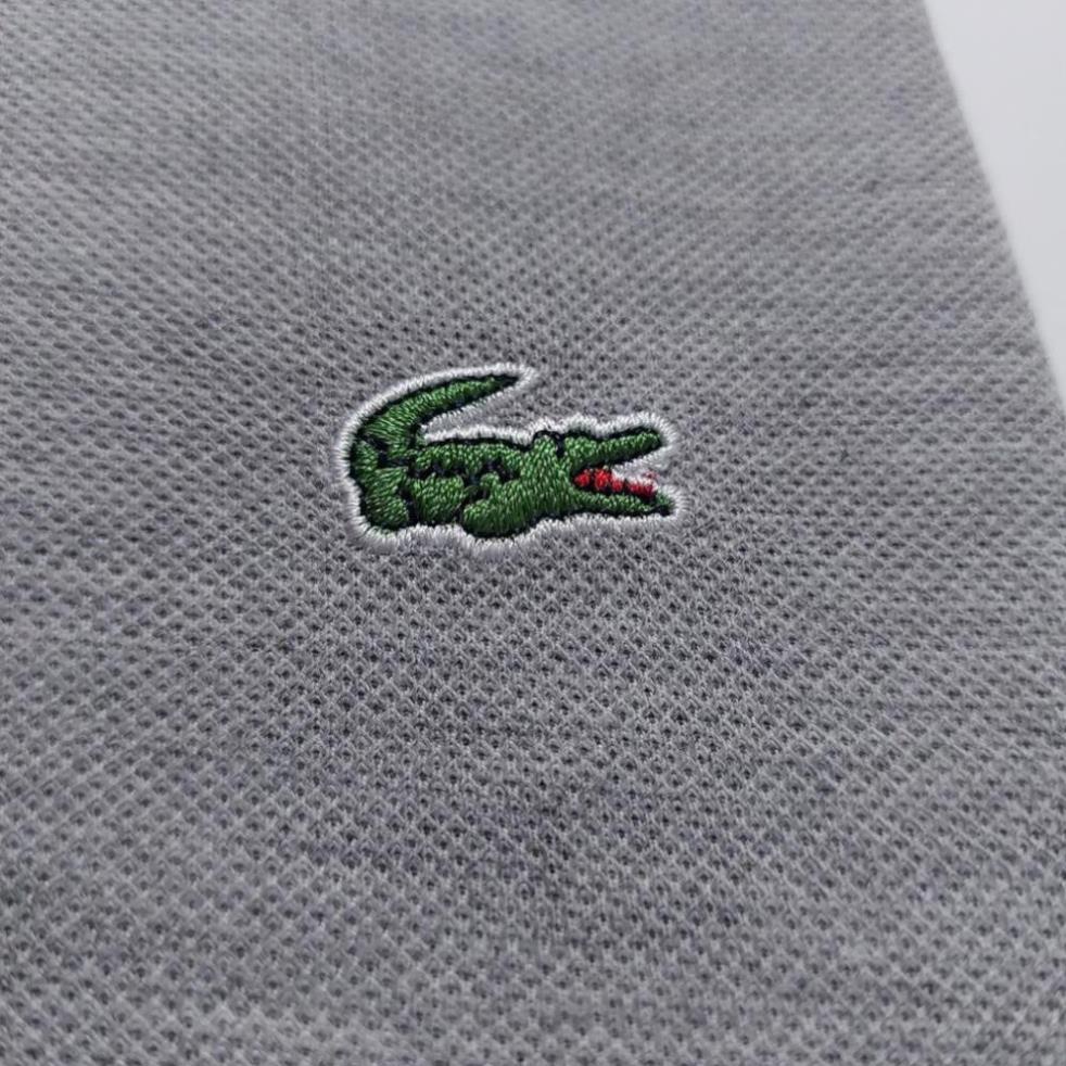 HÈ Áo phông nam Lacoste màu xám hàng xịn 💯 ་ new , ) ! $ sale