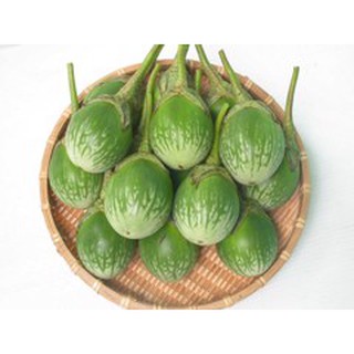 2GR - HẠT GIỐNG CÀ DĨA SỌC XANH